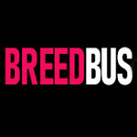 Breed Bus