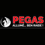 Pegasproductions